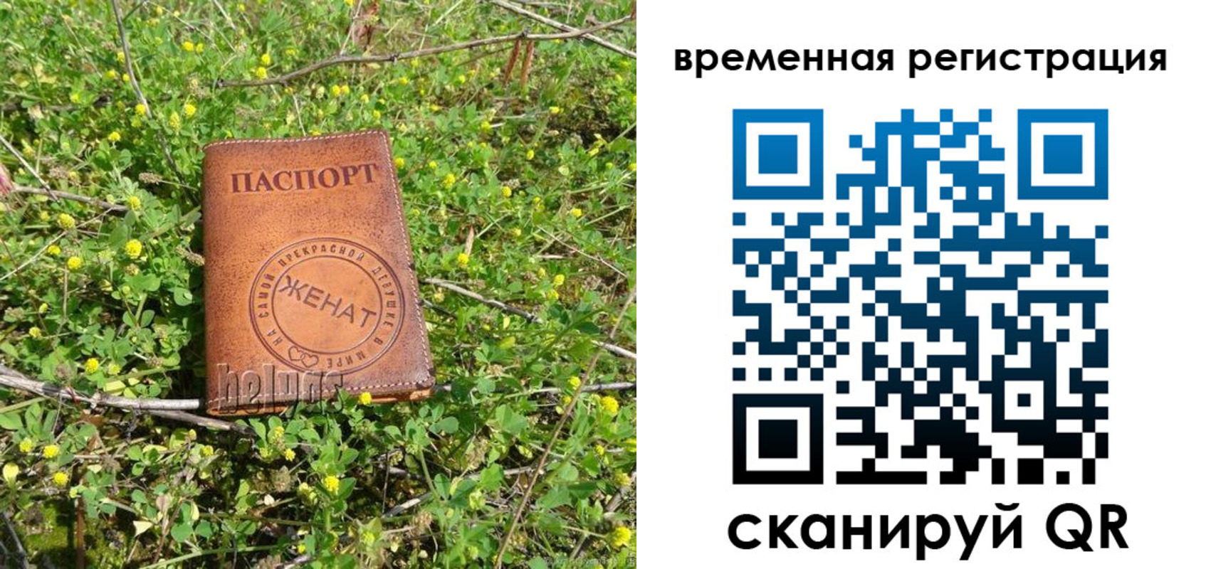 прописка регистрация в Архангельской области